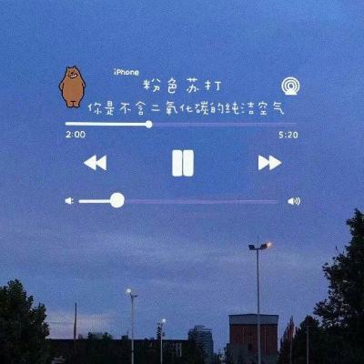 苗莉蝶